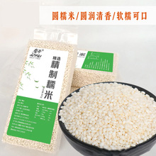 新鲜白糯米500g包粽子糯米材料汤圆馅料五谷杂粮原料圆糯米饭团米