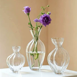 装饰花瓶;水培植物瓶;果盘、果篮