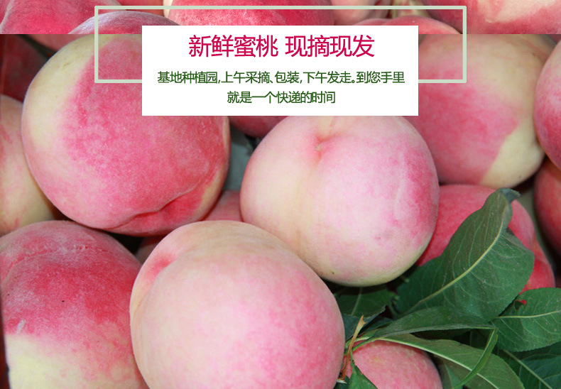 桃子 现摘现发