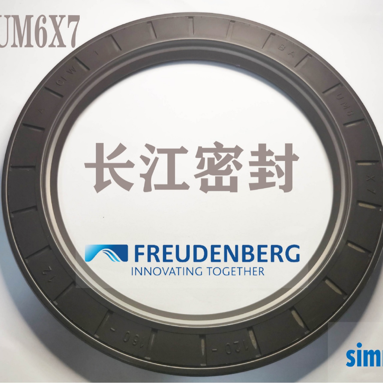 德国 BAUM6X7 骨架油封 氟胶进口油封DIN3760 A 90-120-12 CFW