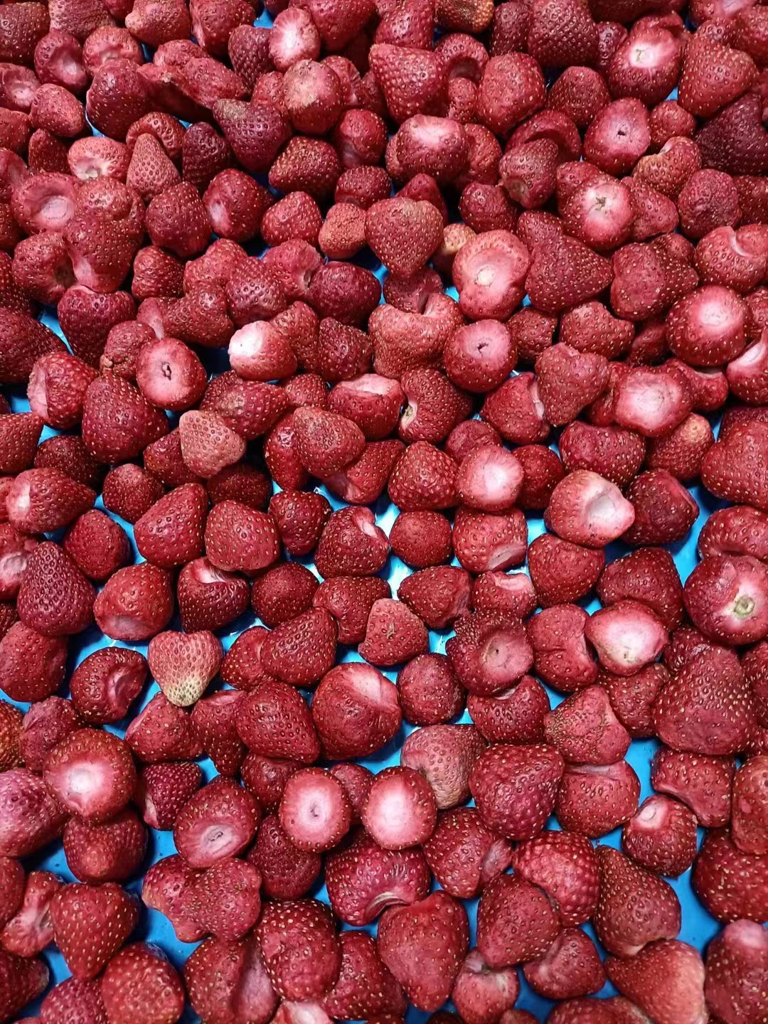 f860bb484059b80d0e75326a1c3da0