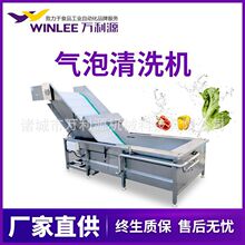 fԴֱ ȫԄӹߚϴC BmʽѸϴˮ