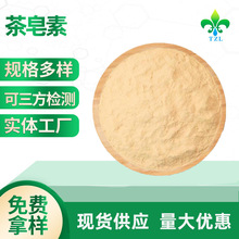 批发茶皂素60%茶树籽提取物茶皂甙油茶籽提取物 茶皂素多规格