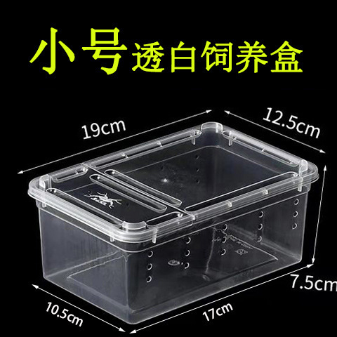 Small Pet Habitat Reptile Enclosure Pet Cage Spider Tegu Gecko Angle Frog Beetle Silkworm Snake Reptile Cage Wholesale