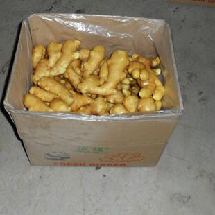 ɽ�|���r���ԷN��Ȼ�߲����r�����Ͻ��L�ɽ��S��ֱ�N�۽����r