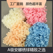 幻花永生花A级安娜绣球20g/盒鲜花批发婚庆发饰花材diy材料包干花