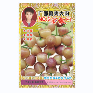 �����N�I�߲˷N���n������_���ݽ��ʽ��N��F1������@¶���̨