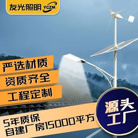 太阳能灯;庭院灯;道路照明灯