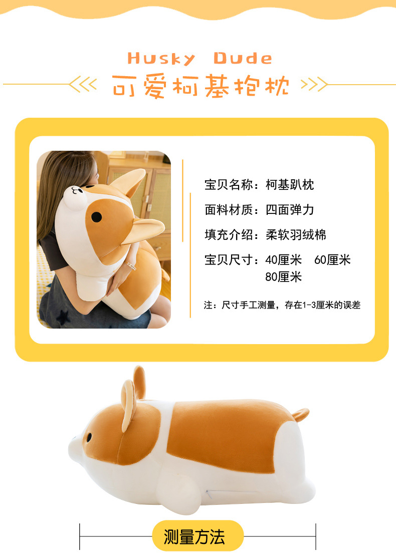 柯基_06.jpg