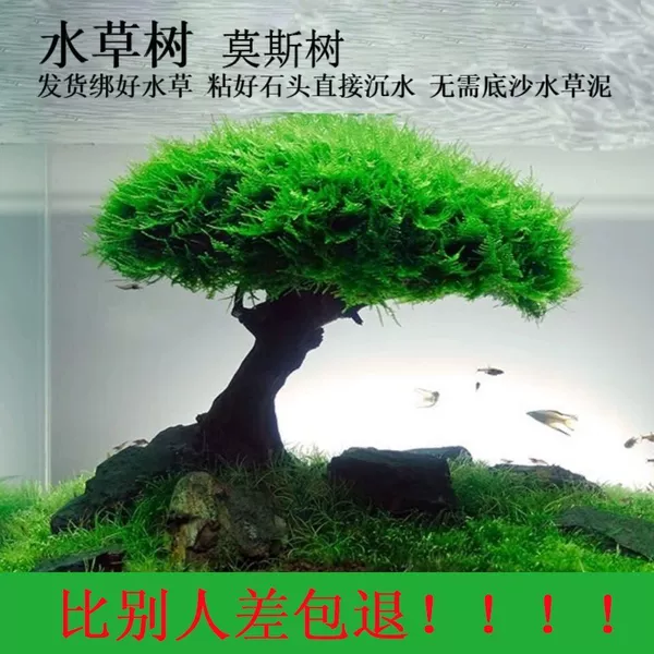 8cm, diameter 4-5mm, 4-5cm