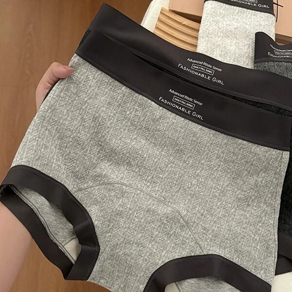 Monido Gray Women's Silk Panties with Skin-Friendly Silk Crotch, Mid-High Waist, Full Coverage, Seamless