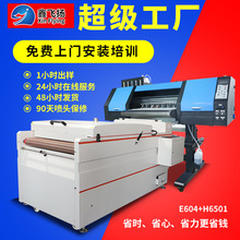 广州现货4头白墨抖粉烫画打印机柯式烫画打印机T恤DTF白墨打印机