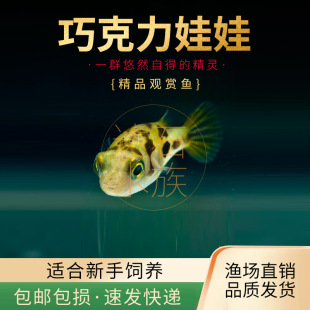 ��ˮͧ��������~�ɿ������ް��R���^���~�׳��s���^�p�~���w����