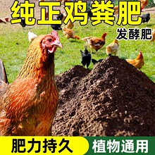 家用鸡粪发酵有机肥种菜羊粪果树鸡粪肥花卉纯鸡粪有机肥料蔬菜用