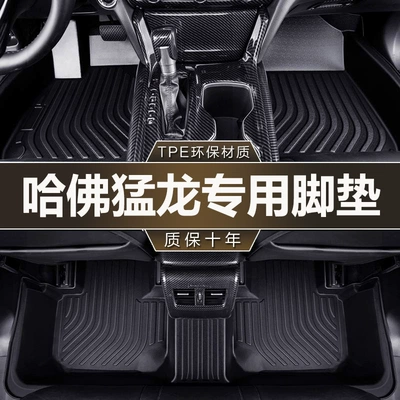 Suitable for Haval Raptor/Plus Special Vehicles, 24-26 Model One-Piece Fully Enclosed Tpe Car Floor Mats