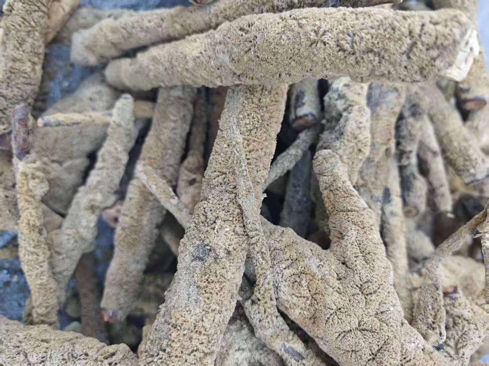 Zi Xiao Hua (Spongilla fragilis) — Dried Freshwater Sponge Herb, 500g Culinary Grade specifications