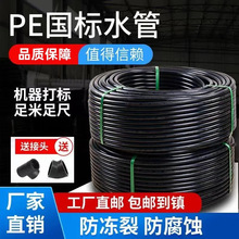 peԁˮӲrõιȴ4620 25 32