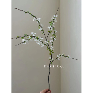 ѩ�� ��Ʒ�|���l֦�l���~���ļٻ��G�~����������ƿ����OӋ