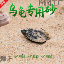 孵化乌龟草龟天然底砂产蛋鱼缸装饰造景砂子冬眠下蛋养殖沙河沙