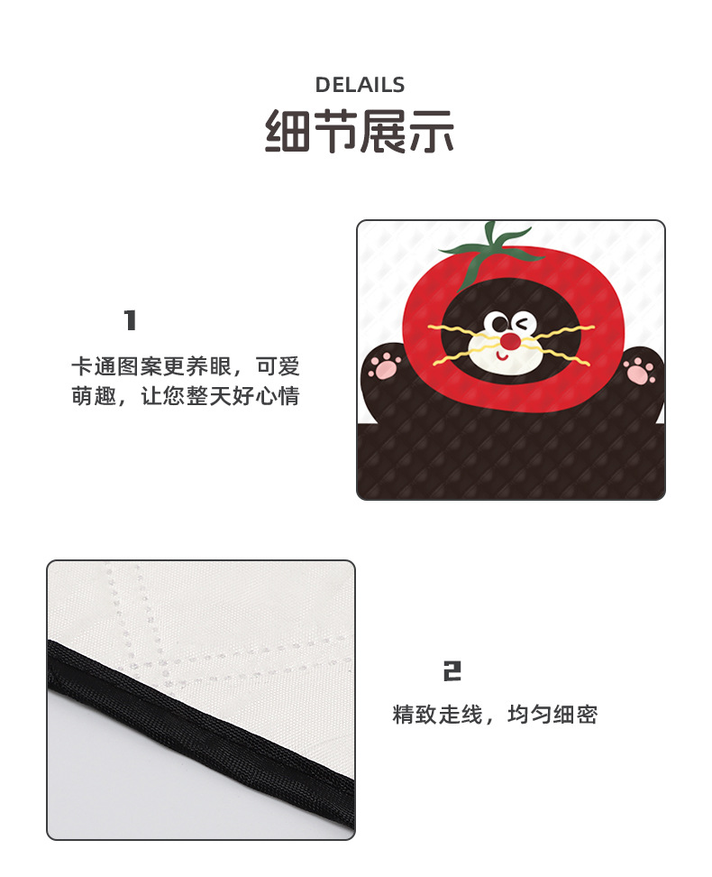 Blue Rain New Product Car Windshield Snow Cover, Winter Snow Shield, Small Car Anti-Frost Cover, Sunshade