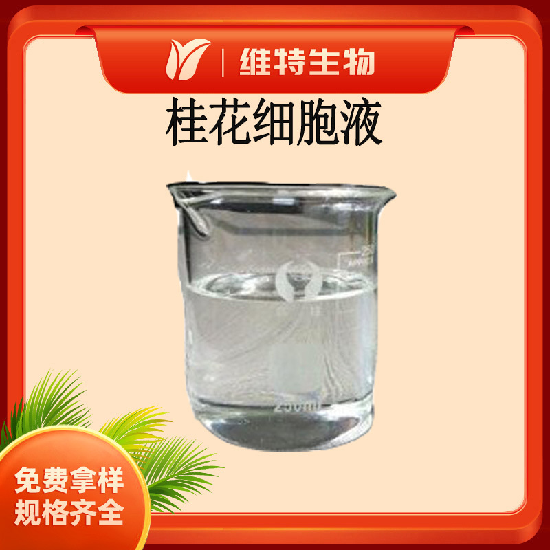 桂花细胞液 鲜桂花细胞液 Osmanthus cell fluid 桂花萃取液