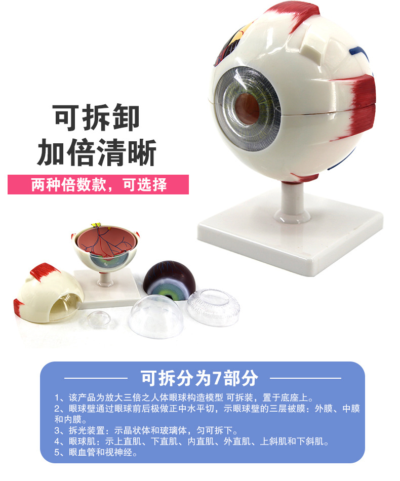 O1CN01IPtRR42Kk6XWX8LkZ_!!3578