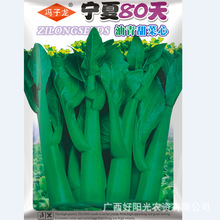 �T�����N�繫˾ֱ�����������طNֲ�߲˷N�ӌ���80�����������