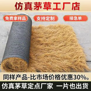 ����é�����ϵ���ë�ݷ�ˮ����r�Ҙ������b�ͤ����ͥԺ���^