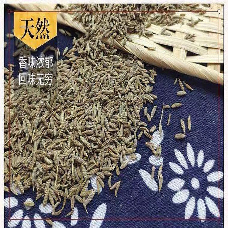New 2021 Xinjiang Cumin Supply Source Wholesale Cumin Seeds Free Grinding BBQ Hot Pot Base