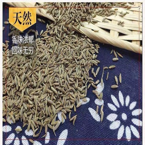 New  Xinjiang Cumin Supply Source Wholesale Cumin Seeds Free Grinding BBQ Hot Pot Base