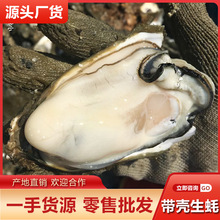 lrϠӎʳĸ߉40]aֱ