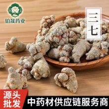 云南文山三七20头30头60头春三七田七中药材产地直供可打粉切片