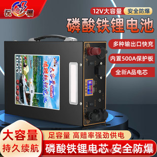 �����F�늳�12v