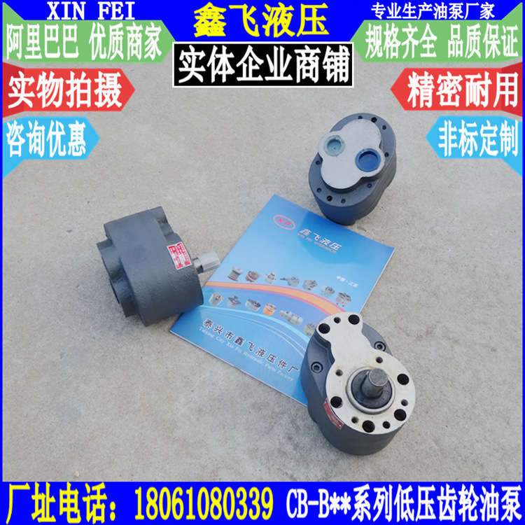 CB-B25TH B32TH B40TH B50TH B63TH B80TH B100TH B125TH齿轮油泵