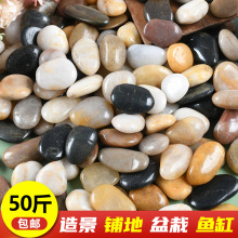 户外庭院鹅卵石铺地天然五彩雨花石精抛鹅软石鱼缸造景抛光小石头