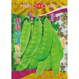 ���m���N���T�����S��ֱ�����������زˈ@�̨�߲� �t��������