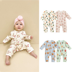 2022 Baby Bodysuit Spring Outfit Baby Long Sleeve Crawling Suit Newborn Spring Clothing Boy and Girl Hairy Suit