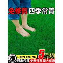 ��ƺ�����ļ������o�¹����ͺ�������ͥԺ��̺��Ƥ�G�������ݷN��