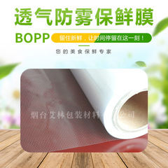 穿孔膜メーカー: レーザー穿孔針の孔膜を提供します。