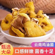 �u�;����l����خa�u���S����؛�S�����S���S�z���u���S����