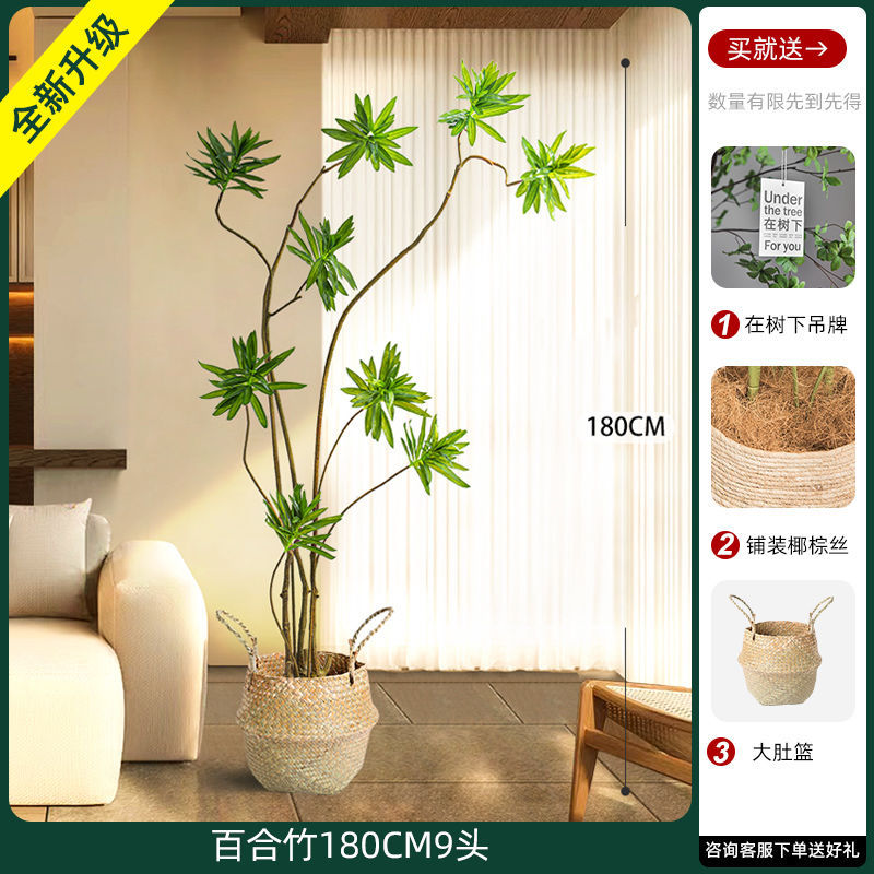 [W Ruyi Bamboo] Khung mây 180CM9