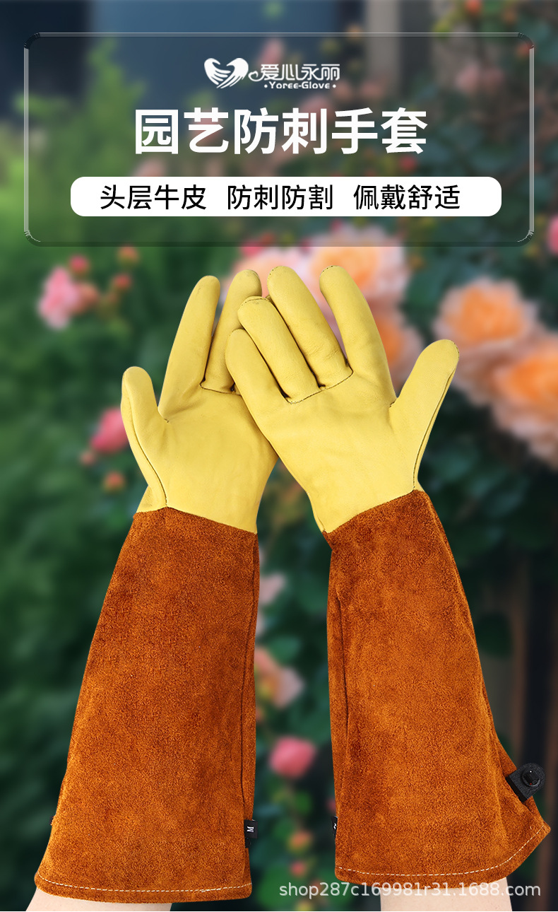 花园手套详情_01.jpg