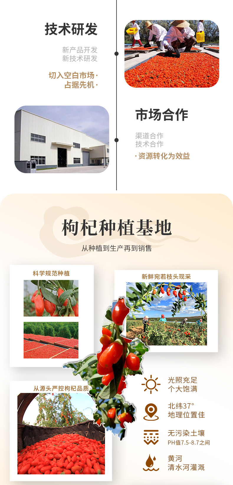 Dried Goji Berries Ningxia Red and Black Goji Gou Qi Zi 20kg Wholesale Case key features