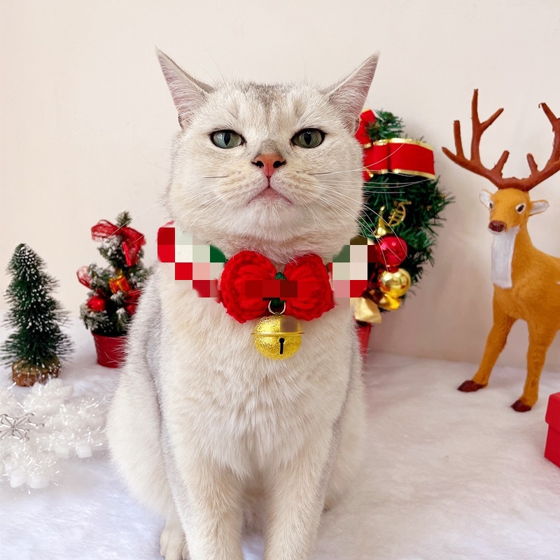 골드 벨 레드 칼라