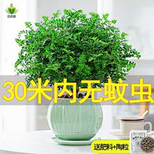 ��ò����������������ľ��ֲ���҃��⻨�ܺ��B�͏dС�Gֲ�辰��