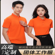 200g�߶˾��ĵ����޴�ɫpolo���ļ�����T�����������������logo