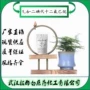十二吡啶乙烷