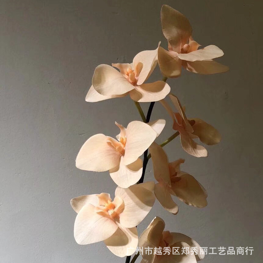 복숭아 가루
