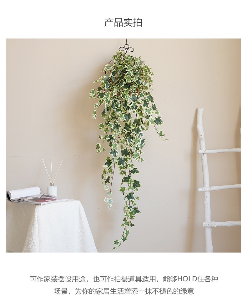 常春藤藤条系列_09.jpg