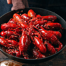 ��������С���r�ӟἴʳ��ʳ����ʮ�����r����r������պ��b���l